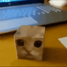 Cat Gets Squished Cat Gets Crushed GIF - Cat Gets Squished Cat Gets Crushed Cat Dies GIFs