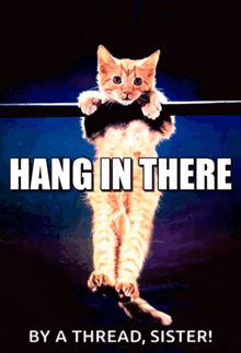 a cat is hanging on a bar with the words hang in there by a thread sister
