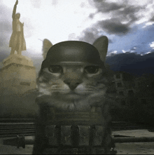 a cat wearing a helmet and a bullet proof vest