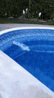 Splash Pool GIF - Splash Pool Water GIFs