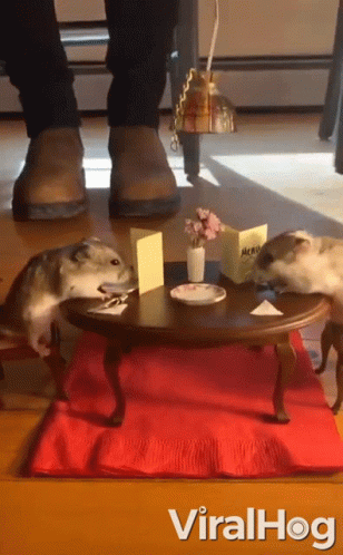 mice-dinner-date-mice.gif