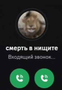 a phone screen with a picture of a lion and the words " смерть в нищите "