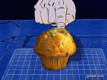 The Muffin Button Dbz Abridged GIF - The Muffin Button Dbz Abridged Funny GIFs