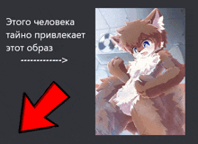a picture of a furry character with an arrow pointing to the right