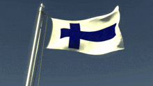 a white and blue flag with a blue cross on it
