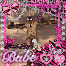 a picture of a scarecrow with the words good luck babe