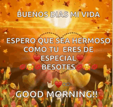Good Morning Hearts GIF - Good Morning Hearts Sun Rise GIFs