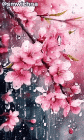 a painting of pink flowers in the rain with the name smwichna on the bottom