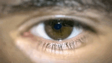 a close up of a person 's eye with a blue light shining through it