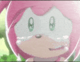 Amy Rose Cry GIF - Amy Rose Cry Sonic X GIFs