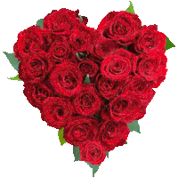 a heart made of red roses with green leaves