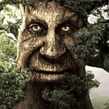 Tree Wise Mythical Tree GIF - Tree Wise Mythical Tree GIFs