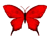 Borboletas Butterfly Sticker