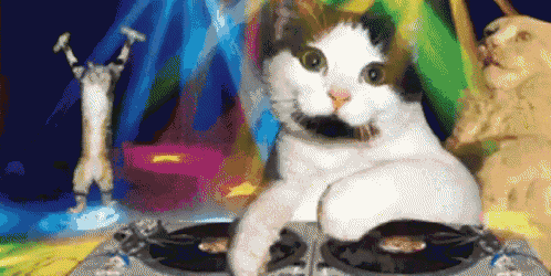 Cat Dj GIF - Cat Dj Party - Discover & Share GIFs