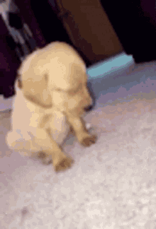 So Tired GIF - So Tired Oops GIFs