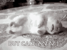 Mouse Sleeping GIF - Mouse Sleeping Calm GIFs