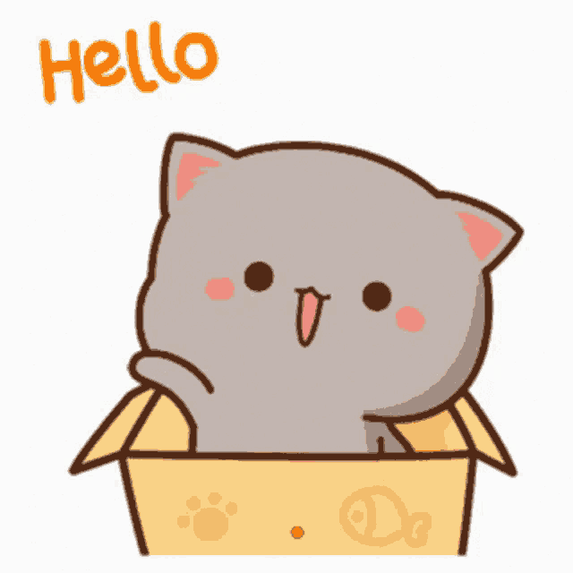 Hello Cute GIF - Hello Cute Cat - Discover & Share GIFs