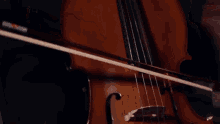 Cello Musical Instrument GIF