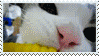 a close up of a stuffed animal 's nose with a yellow object in the background .