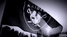 Raiders Las Vegas Raiders GIF - Raiders Las Vegas Raiders Nfl GIFs