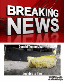 Trump Hair GIF - Trump Hair Flee GIFs
