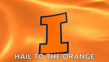 an orange flag with the letter i on it