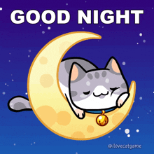 Goodnight Good Night GIF - Goodnight Good Night Gn GIFs