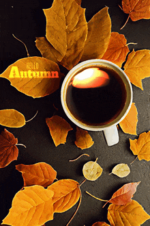 Automne Hello Autumn GIF - Automne Hello Autumn Autumn GIFs