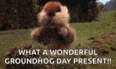 Gopher Excited GIF - Gopher Excited Dancing GIFs