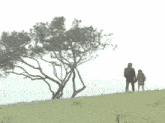 a man and a girl are standing in a grassy field looking at a tree
