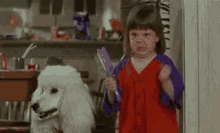 Aggravated Angry GIF - Aggravated Angry Irritated GIFs