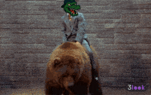 a man in a suit is riding a bear with a crocodile on his head