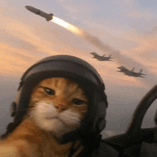 a cat wearing a helmet is flying a fighter jet while a missile is flying in the background .