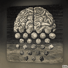 a black and white drawing of a brain surrounded by geometric shapes with pixiz at the bottom