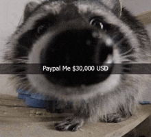 Bglamours Paypal Me 30 000 Usd GIF