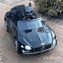 Driving Viralhog GIF - Driving Viralhog Batmobile GIFs