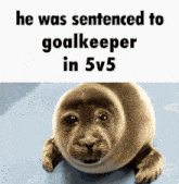 a seal with the words he was sentenced to goalkeeper in 5v5