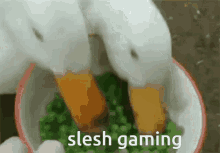 Slesh Gaming Discord GIF - Slesh Gaming Discord Funny GIFs