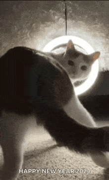 GIF