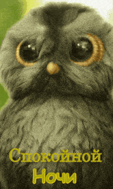 a picture of an owl with the words " спокойной ночи " on the bottom