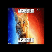a picture of a cat with the words wesmeister11 written on it