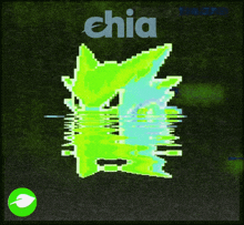 the word chia is on a green background with a green leaf
