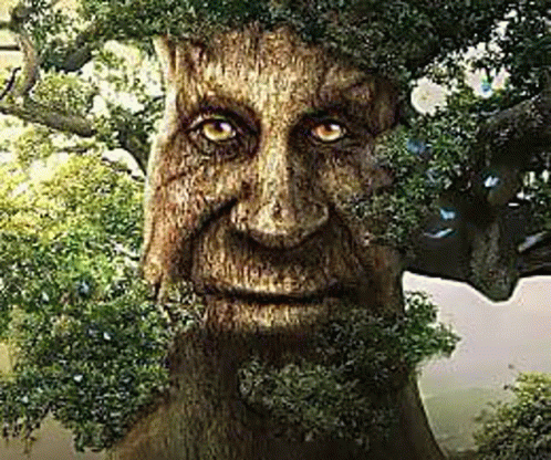 Wise Mystical Tree This Game Is A Must Have GIF - Wise Mystical