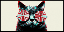 Cat Hypnotize GIF - Cat Hypnotize GIFs