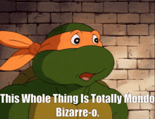 a teenage mutant ninja turtle says " this whole thing is totally mondo bizarre-o. "
