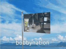 Bobby Bobbyposter GIF - Bobby Bobbyposter Bobbynation GIFs