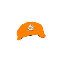 a drawing of an orange hat with a nuts logo on it