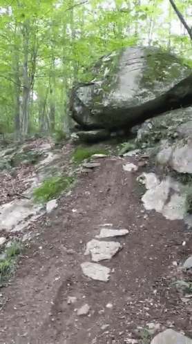 tmb gif