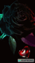 Mi Amor Black Rose GIF - Mi Amor Black Rose Neon GIFs