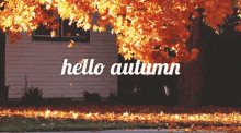 hello autumn